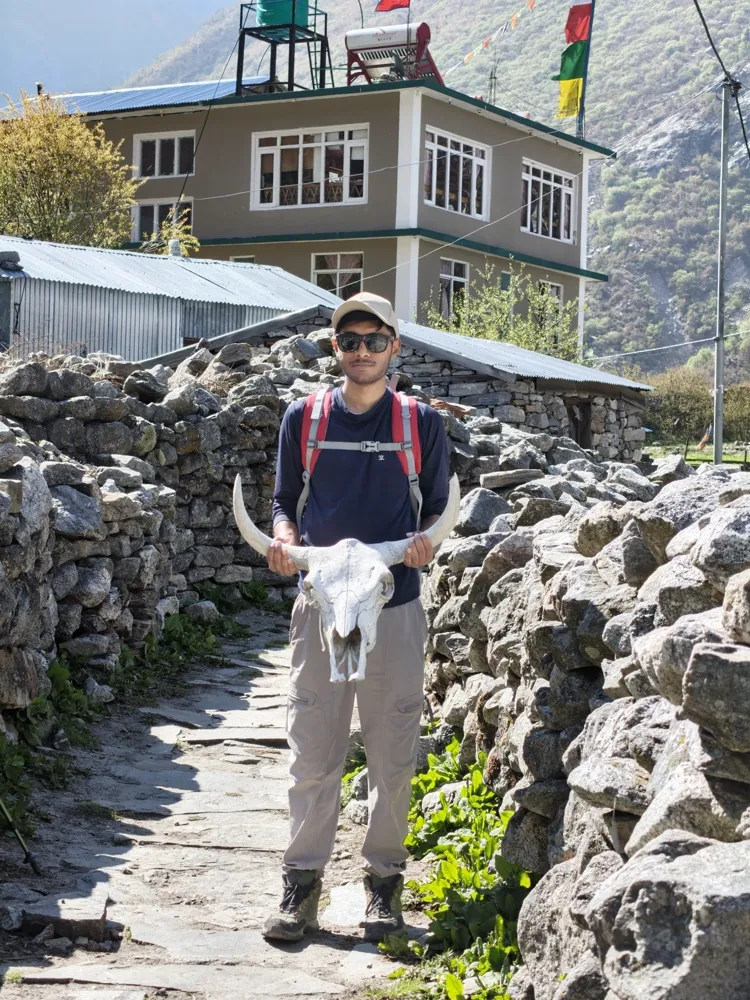 yak skull - langtang village